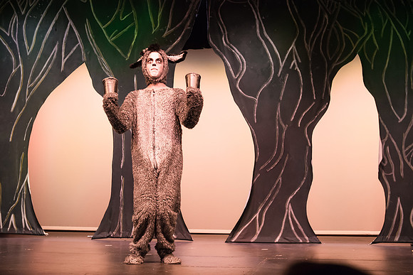 SFHS Shrek The Musical