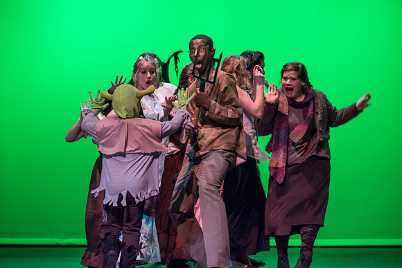 SFHS Shrek The Musical