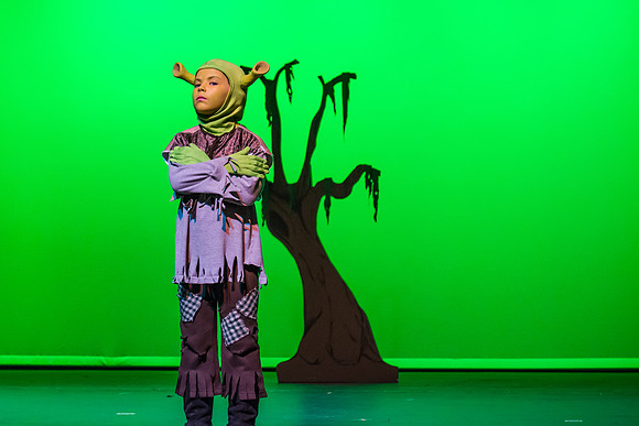 SFHS Shrek The Musical