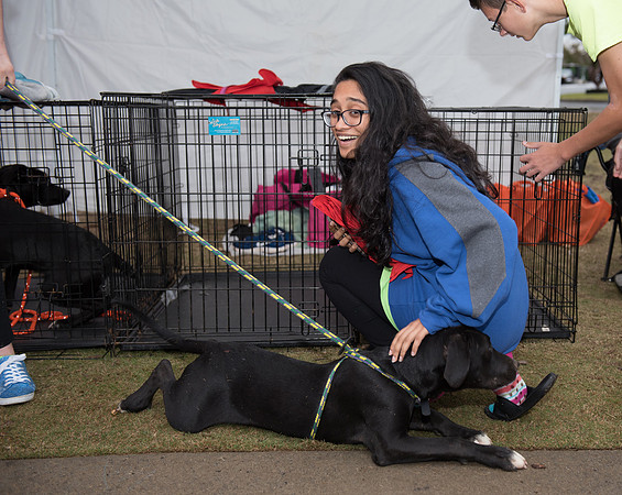 2017 Jonny and Xena 5K