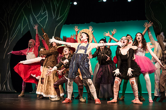 SFHS Shrek The Musical