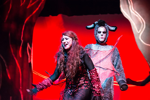 SFHS Shrek The Musical