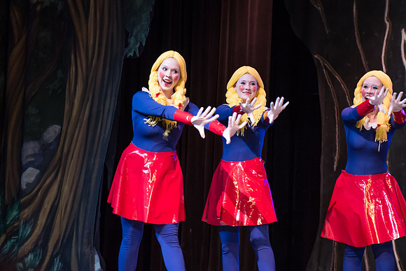 SFHS Shrek The Musical