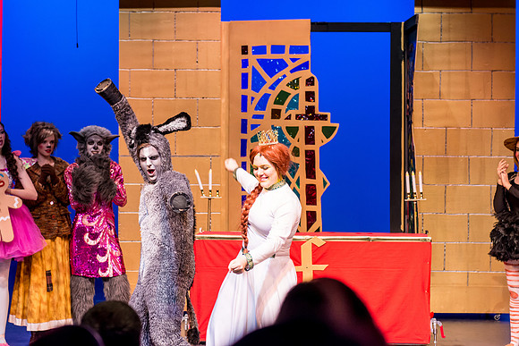 SFHS Shrek The Musical