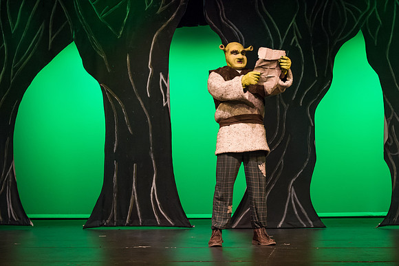 SFHS Shrek The Musical