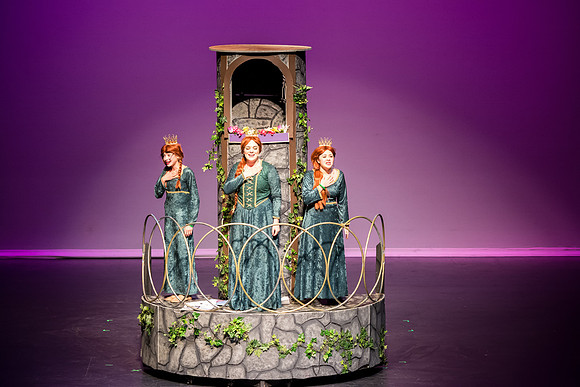 SFHS Shrek The Musical-ThesCon 2014