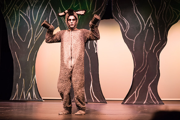 SFHS Shrek The Musical